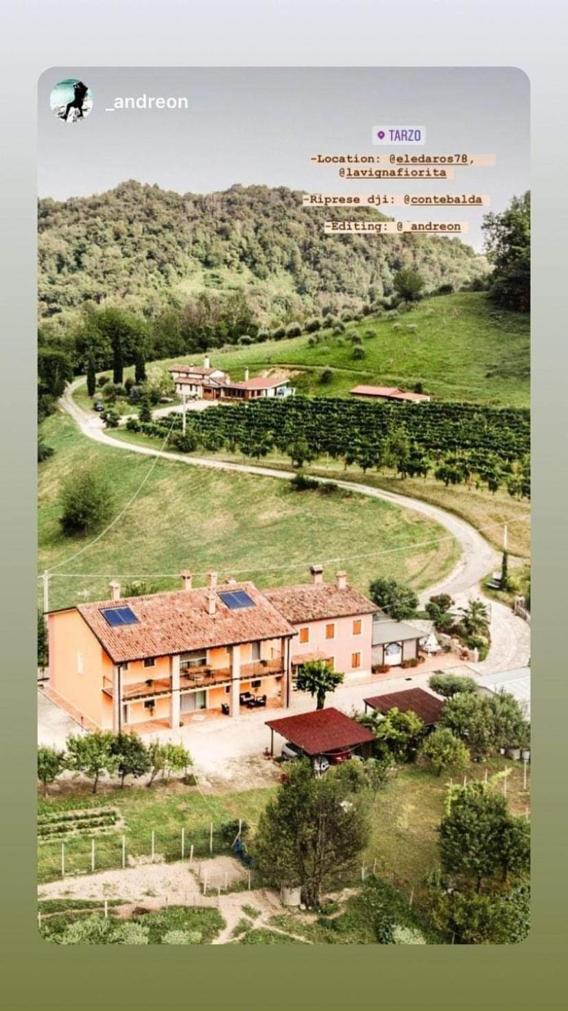 La Vigna Fiorita B&B Tarzo Extérieur photo